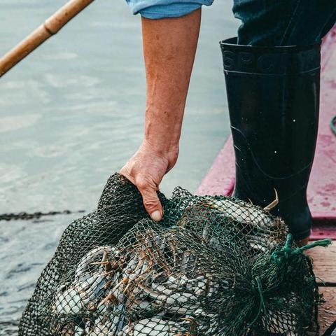 [苏州到高淳车票]相关长尾关键词有哪些