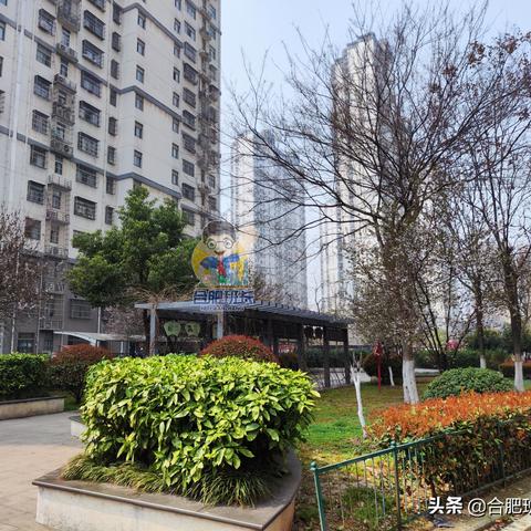 合肥滨湖欣园二手房相关长尾关键词有哪些