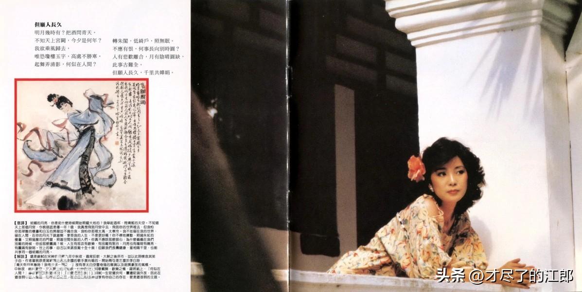 明月几时有歌曲王菲(有什么惊艳的句子)