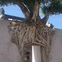 哈尔滨手机膜批发相关长尾关键词有哪些