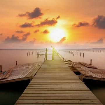 未来十五日生肖运势大翻身(十五日属相)