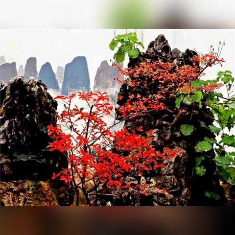 五一桂林周边游农庄相关长尾关键词有哪些