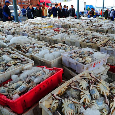 福建海域核辐射是最严重的吗？