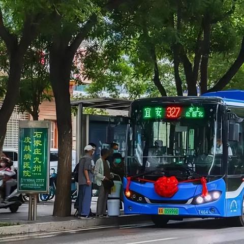 石家庄市交投属于哪里管