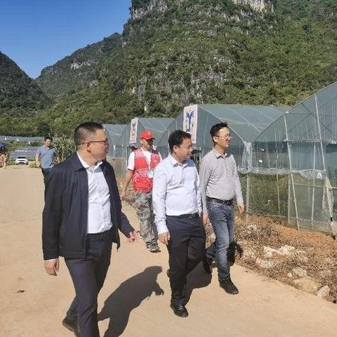 靖西跨境电商合作平台 相关的长尾关键词有什么