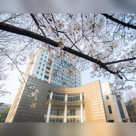 上海211哪些大学排名