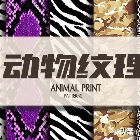 什么是跨境电商选品