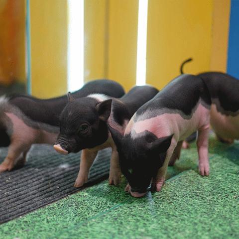 济南市哪个博物馆好玩点