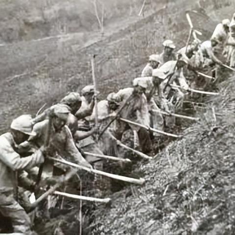 4月24日生肖虎运势如何(4月24日生肖虎运势如何呢)
