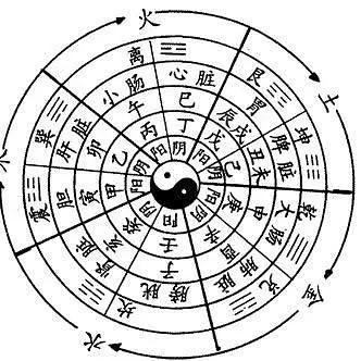 天干五行会生地支吗_天干五行会生地支吗怎么看(天干 地支 五行)