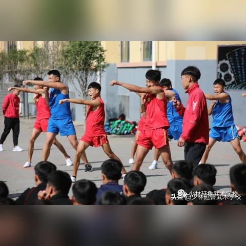 河南少林延鲁武术学院怎么样