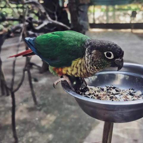 沈阳市鸟岛是哪个街道