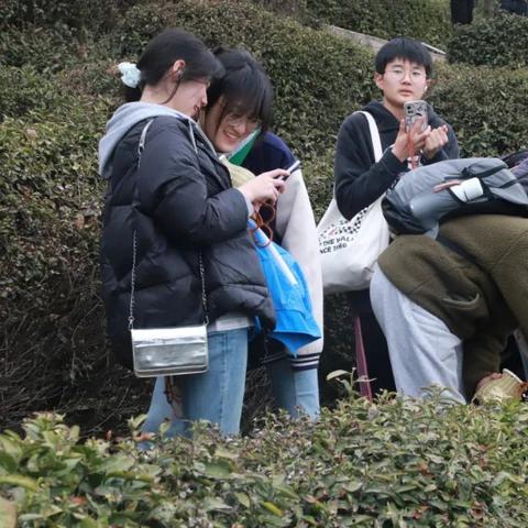 合肥十中2017年高考相关长尾关键词有哪些