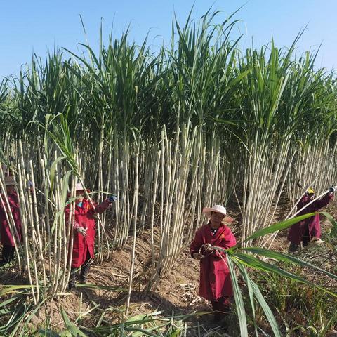 武汉市财火什么价格