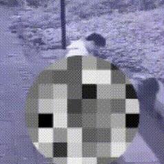 江苏省苏州市常熟市虞山镇天气的长尾关键词有哪些