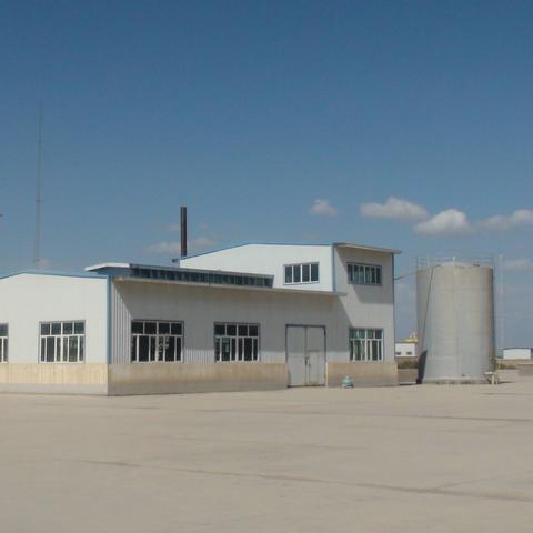 广州农业龙头相关长尾关键词有哪些