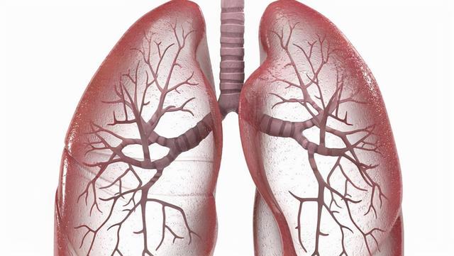每周工作超55小时或心脏病致死是真的吗 每周工作超55小时或心脏病致死是真的吗