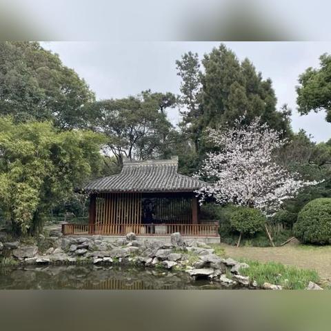 关于上海复兴岛公园相关关键词有哪些