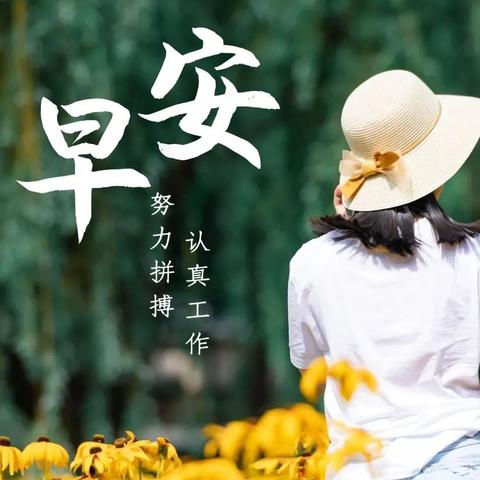 河南正能量是什么酒