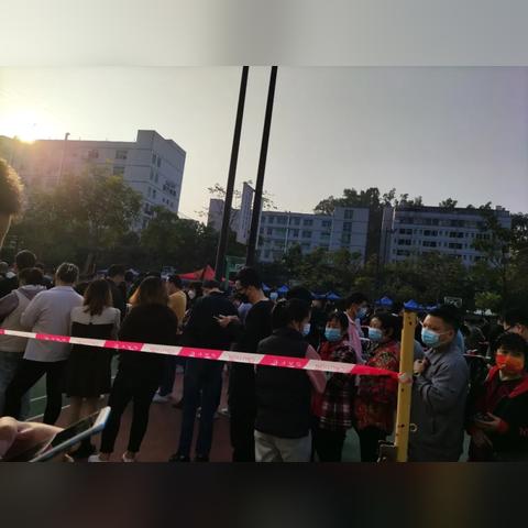 深圳跨境电商总数多少亿