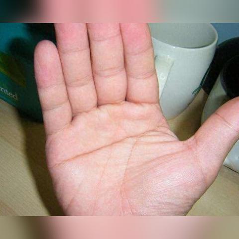 掌心藏着命运？手纹算命真相大揭底