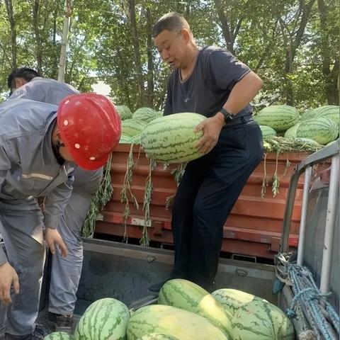 宁德天气高温的原因？