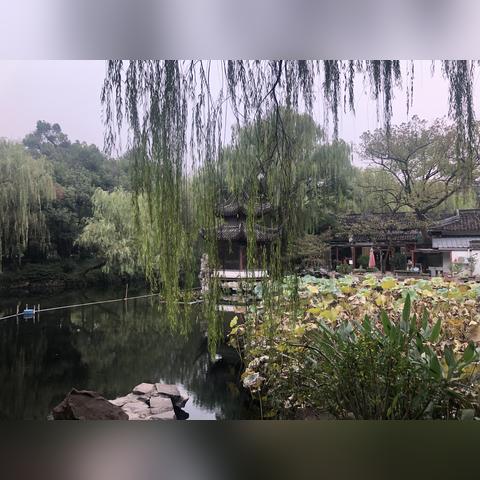 苏州市和杭州市哪个发达