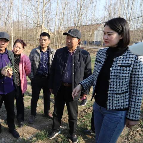冬小麦什么时候长