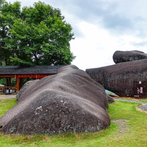 温州市的道观分布在哪里