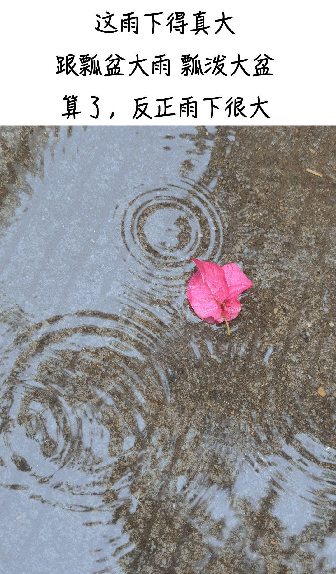 【深圳昨日新增4例本土确诊
 ,深圳昨日新增4例本土确诊病例】