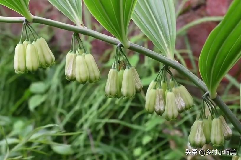 没双怎么练宝宝起名(女孩取名)