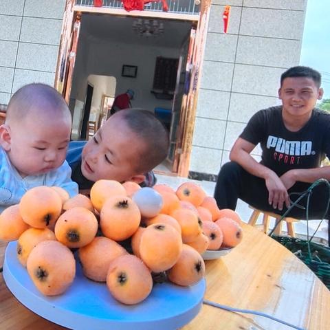 桂林市哪里有摘枇杷的