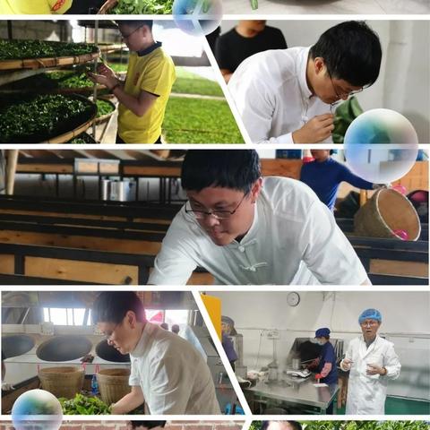 广东东莞市茶山镇发展的长尾关键词有什么