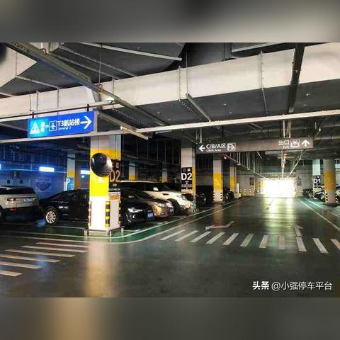 武汉市有什么免费地方玩