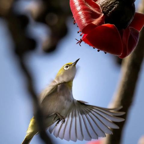 富士胶片制造深圳有限公司属于什么企业？