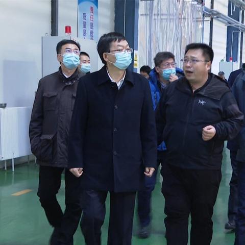 长春市哪里有卖肉兔