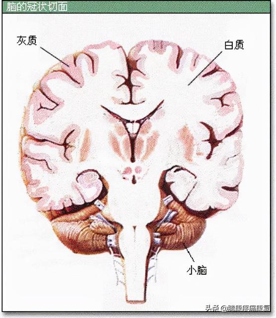 惊！产前忧郁可能会导致胎儿畸形