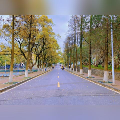 长沙市有什么大学？