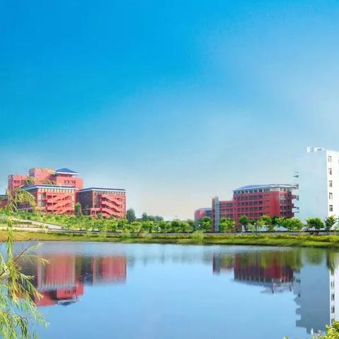 广州市各区都有什么工业