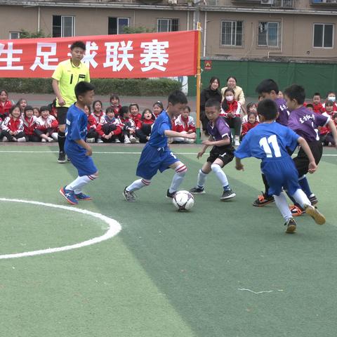 仁寿实验小学足球比赛的长尾关键词有什么