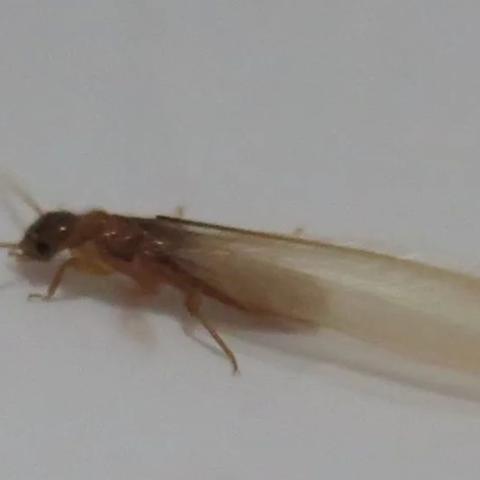 2025.11.9广州最新天气预报查询