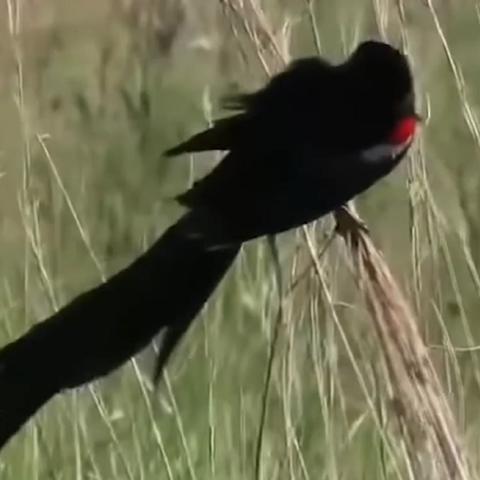 代表时间的图片大全的长尾关键词是什么