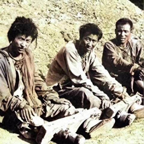 沈阳兽医招聘相关长尾关键词有哪些