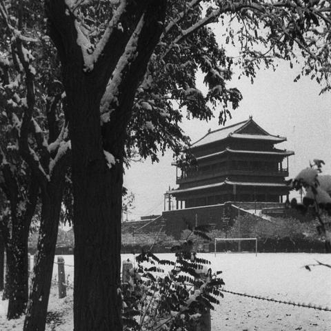 今日公布！广西越南代工烟细支烟“绿水青山”