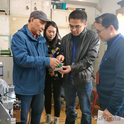 桂林市哪里有黑蚂蚁