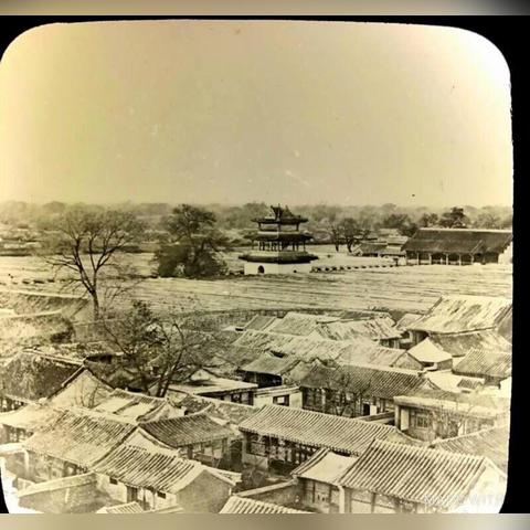 苏州市养猫需要什么手续