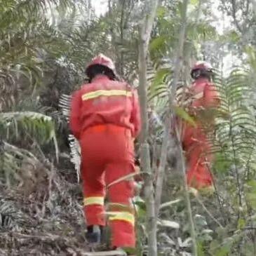桂林飞机失事机型有哪些相关长尾关键词有哪些
