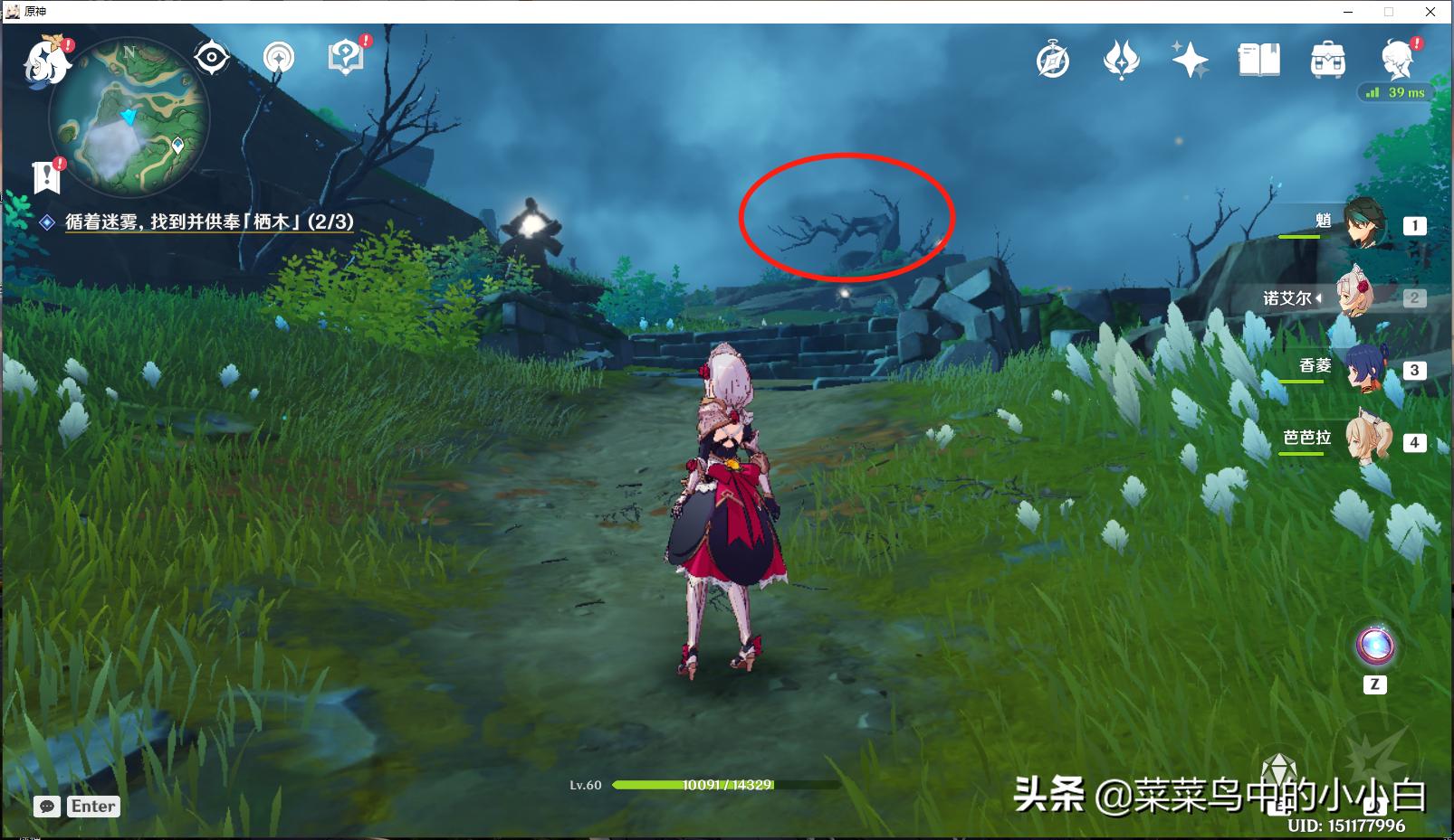 原神栖木2怎么没有继电石(原神到期迷雾怎么解除)