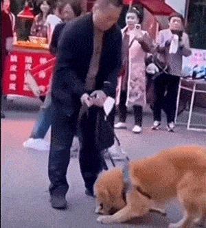 乖腿张开搞笑嘚瑟表情图片