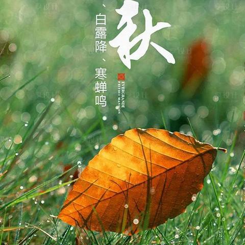 立秋后 是什么节气